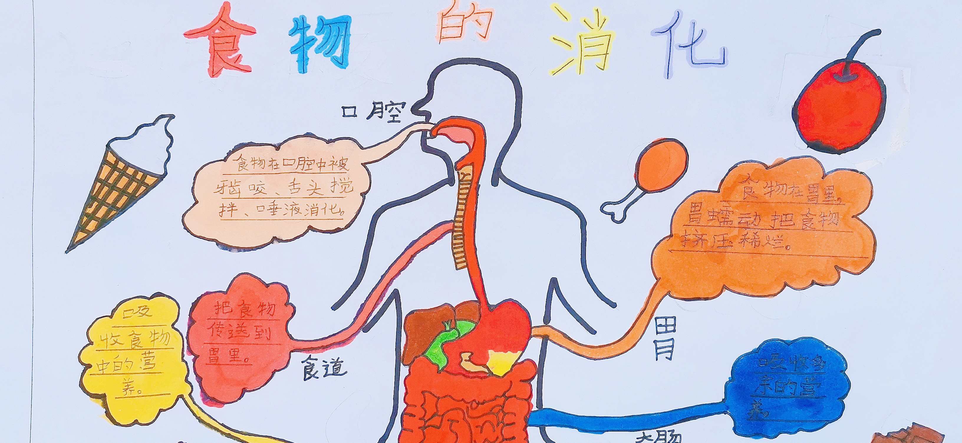 【培文杯】繽紛科學 魅力思維——十一月社科思維導圖展